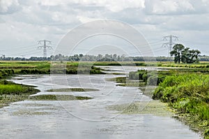 Meandering creek in a Dutch polder
