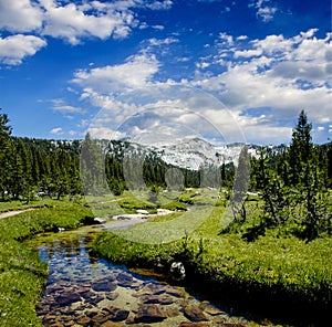 Meandering Creek in the Sierra Nevadas