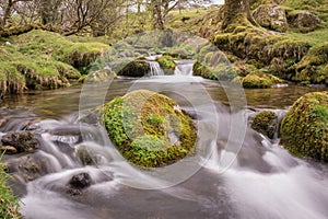 Meandering Dartmoor Stream