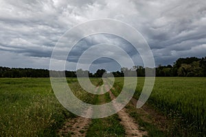 Dirt road through green field and dark stormy sky with clouds