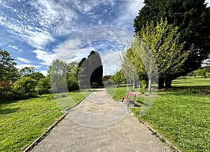 Parkland, with an empty painted red bench near, Alkincoats Road, Colne, UK photo