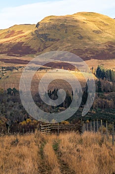 Meandering path through fields in golden winter light, Scotland