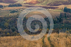 Meandering path through fields in golden winter light, Scotland