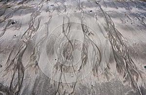 Meandering rivers in the sand