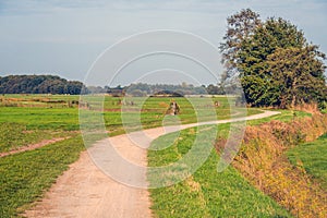 Meandering sand path in a rural landscape