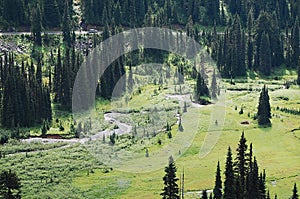 Meandering stream in a meadow