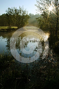 Meanders of Lucina river