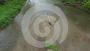 Meanders river delta dron aerial video shot inland sandy sand alluvium floodplain forest lowlands wetland swamp