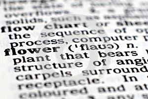 The meaning of Flower