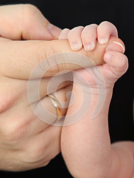 The meaning of life, baby and parent hands