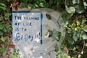 The meaning of life is to Enjoy it