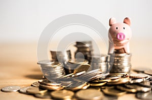 Meaning of saving money concept with piggy bank over the coins