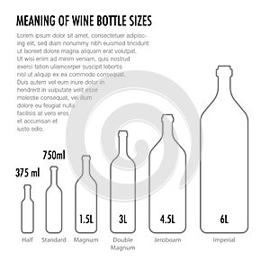 Meaning of wine bottle size