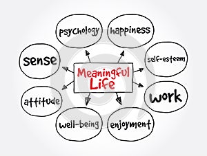 Meaningful Life mind map, concept for presentations and reports