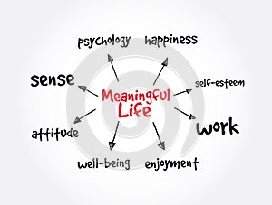 Meaningful Life mind map, concept for presentations and reports