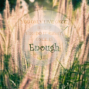 Meaningful quote on blurred meadow background