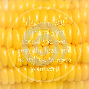 Meaningful quote on corn background