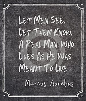 meant to live Aurelius quote photo