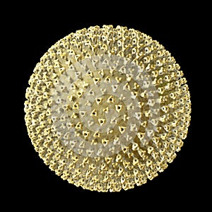 Measles virus, surface structure photo