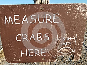 measure crabs here sign with five inches minimum