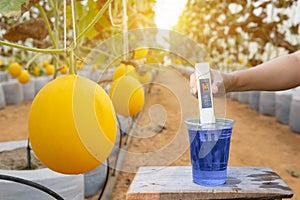 Measure liquid fertilizer in a cup with a digital EC TDS meter neutral display at melons