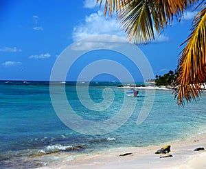 Measured ordinary life on the island of Saona Dominikana, rest among coconut trees on a sandy beach near the turquoise Caribbean S