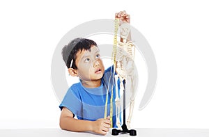 Measurement of human skeleton