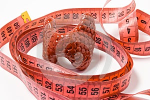 Measurement of thyroid as definition of symptom or sign of disease, e.g. enlarged thyroid. Thyroid model wrapped by measuring tape