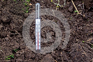 Measurement using a soil temperature thermometer in the spring to determine the readiness of the soil to plant crops_