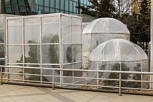 Measures to protect heat-loving plants in winter. Device greenhouses made of polyethylene to protect the cacti from the cold wind.