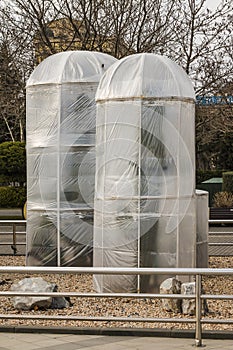 Measures to protect heat-loving plants in winter. Device greenhouses made of polyethylene to protect the cacti from the cold wind.