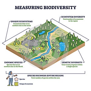 Measuring biodiversity in ecosystem or species at one region outline diagram photo