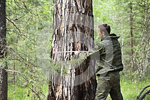 Measuring the diameter of a tree