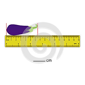 Measuring length in centimeters brinjal with the ruler. Education developing worksheet. Game for kids. Puzzle for children.