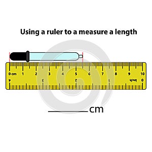 Measuring length in centimeters ink pillar with the ruler. Education developing worksheet. Game for kids.