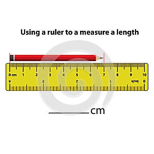 Measuring length in centimeters with the ruler. Education developing worksheet.