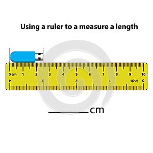 Measuring length in centimeters with the ruler. Education developing worksheet.