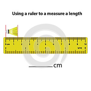 Measuring length in centimeters with the ruler. Education developing worksheet.