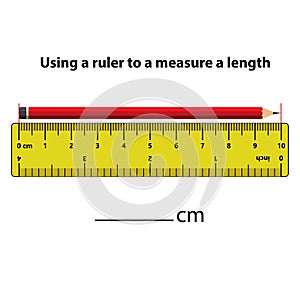 Measuring length in centimeters with the ruler. Education developing worksheet.
