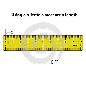 Measuring length in centimeters with the ruler. Education developing worksheet.