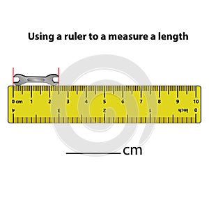 Measuring length in centimeters with the ruler. Education developing worksheet.