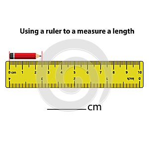 Measuring length in centimeters with the ruler. Education developing worksheet.