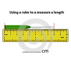 Measuring length in centimeters with the ruler. Education developing worksheet.