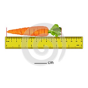 Measuring length in centimeters with the ruler. Education developing worksheet.