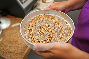 Measuring of moisture in wheat grains photo