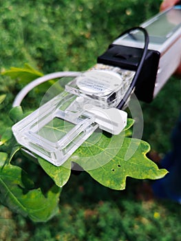 Measuring plant photosynthesis by using portable device