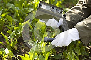 Measuring radiation levels of vegetables