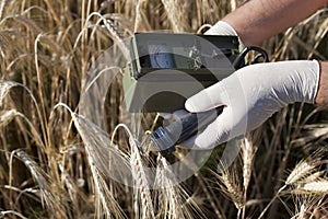 Measuring radiation levels of wheat