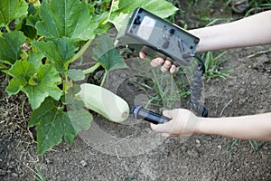 Measuring radiation levels of zucchini