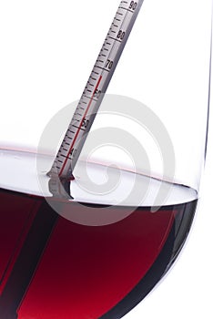 Measuring Red Wine Temperature with a Thermometer